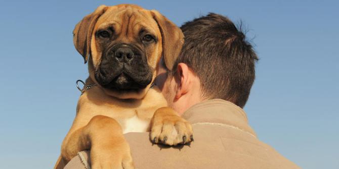 Ini kenangan terakhir Hachiko saat masih hidup!  merdeka.com