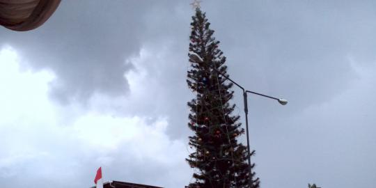 Pohon Natal tertinggi di Indonesia
