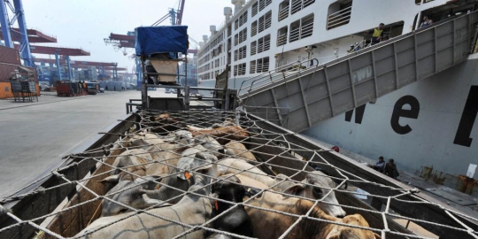 indonesia makin mahal rev2