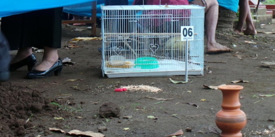 diduga ilmu pesugihan rev1