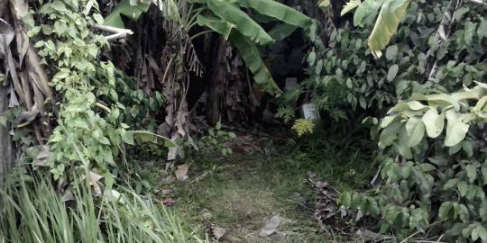 Ini lokasi persembunyian Resi, pencuri kepala mayat di Cilacap