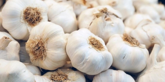 bersihkan darah secara alami dengan 10 makanan ini!