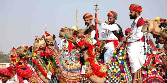 Uni Emirat Arab gelar kontes unta tercantik