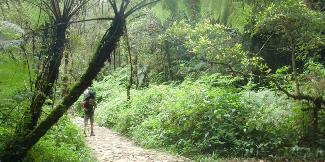 9800 Koleksi Hantu Gunung Gede Gratis Terbaru