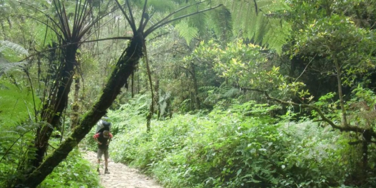 bertemu makhluk gaib di gunung gede rev3