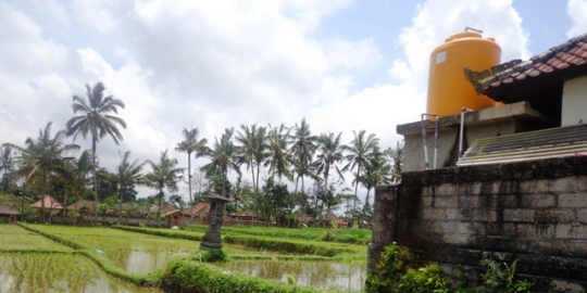 sawah rev1