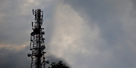 3g