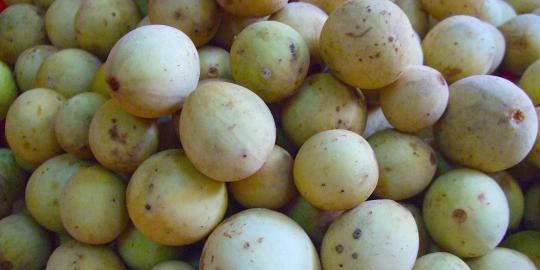 Tak hanya pempek, Jambi dan Sumsel adu jotos soal buah duku