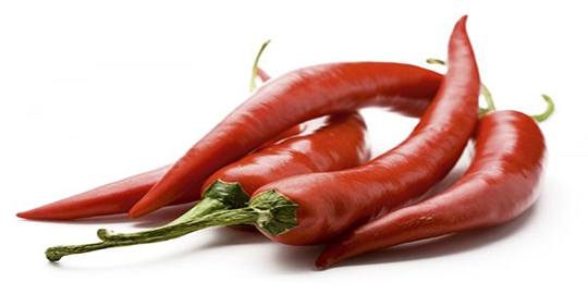 aplikasisoftware pendukung rev1