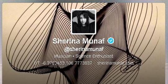 Lebih dari separuh follower Twitter Sherina diduga palsu!