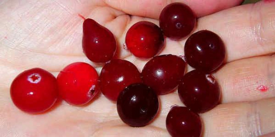 13 jenis jus ini mampu redakan infeksi tenggorokan [part 2]