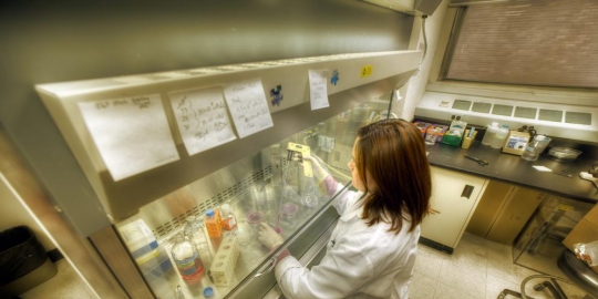 7 fakta yang wajib diketahui online shopper