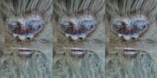 Inikah wajah dari sosok bigfoot?