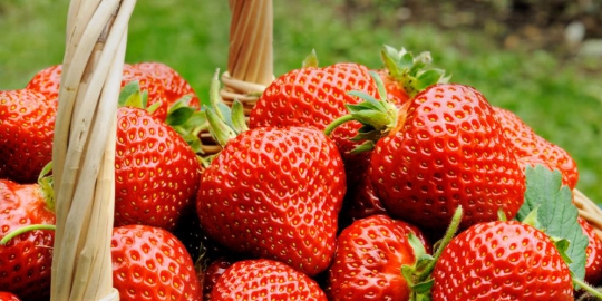 5 cara alami memutihkan gigi kuning