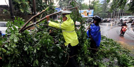 Hujan angin, pohon dan papan reklame di Bandung bertumbangan