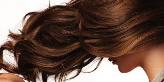 rambut rev1