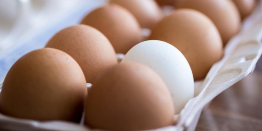 inilah 8 menu sarapan sehat yang harus dicoba