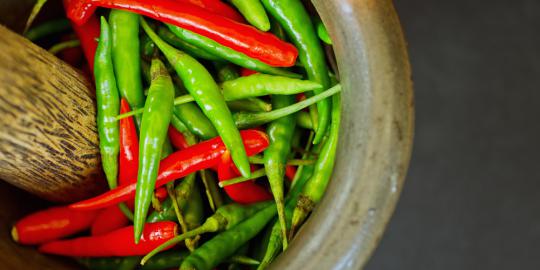 Bocah perempuan di India dipaksa makan cabe saat disiksa majikan