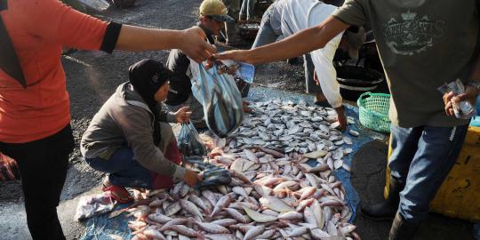 Kadin: Indonesia harus kurangi ketergantungan impor ikan