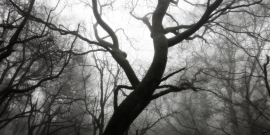 7 fobia ini unik dan langka