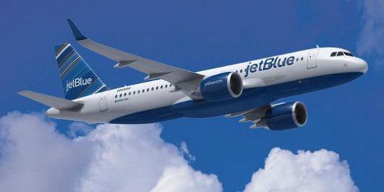 5 maskapai penerbangan yang paling ramah pada hewan peliharaan