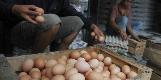 Cuaca ekstrem di Manado bikin harga telur meroket Rp 5.000/butir