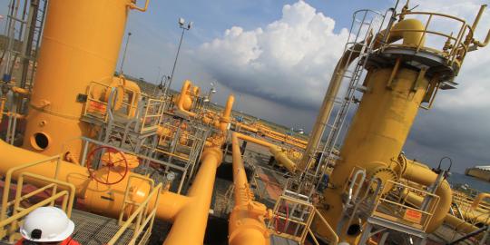 Meski diakuisisi Pertamina, Dahlan sebut PGN punya hak otonomi