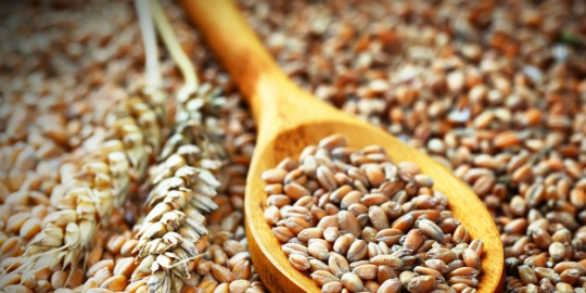 konsumsi 5 makanan ini sebelum olahraga!