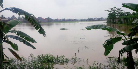 Banjir di Subang, ribuan hektare sawah terlihat seperti danau