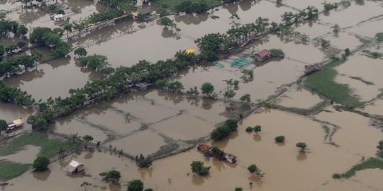 Sawah kebanjiran, petani dapat ganti rugi Rp 100.000 per hektar