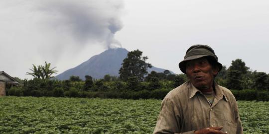 Meski ditangani BNPB, erupsi Sinabung bukan bencana nasional