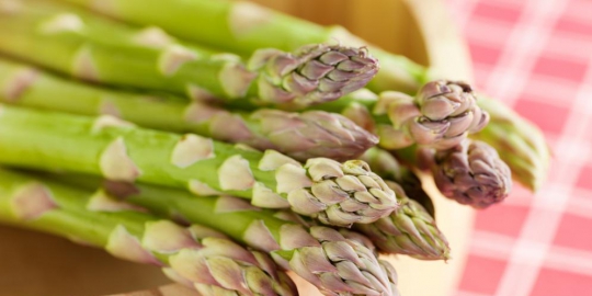 raih orgasme dengan 10 makanan enak ini! [part. 2]