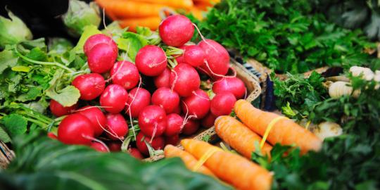 Petani pangan organik kesulitan jual hasil panen di pasar