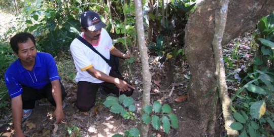 Keluarga sesalkan lambatnya penanganan makam Tan Malaka