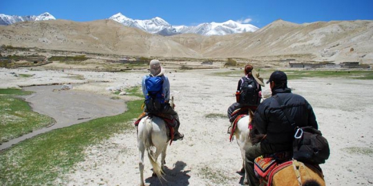 mustang di drakmar rev1