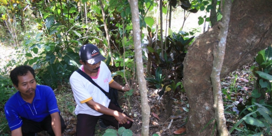 di selopanggung rev2