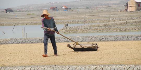 Cuaca buruk, produksi garam 2013 turun 1,3 juta ton