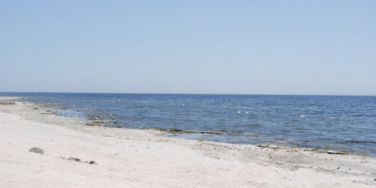 beach