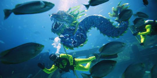 Sambut Imlek di Singapura, barongsai naga beraksi di bawah laut