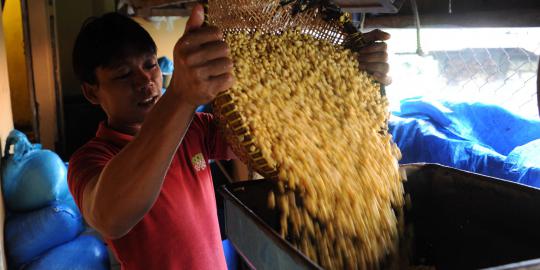 Pedagang tempe ingat Gita Wirjawan karena krisis kedelai