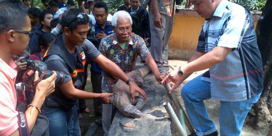 Kebun Binatang Surabaya cari penyebab kematian Komodo