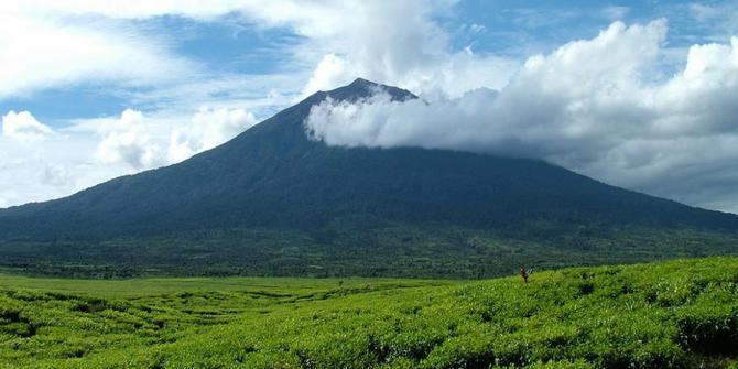 7 Gunung berapi tertinggi di Indonesia merdeka com