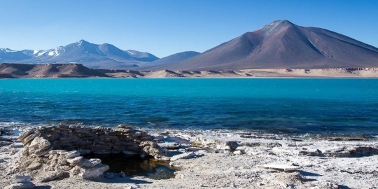 del salado argentina chili