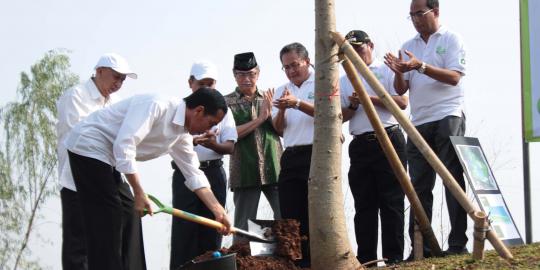 Hujan dan kabut tebal, Jokowi tetap tanam pohon di Puncak