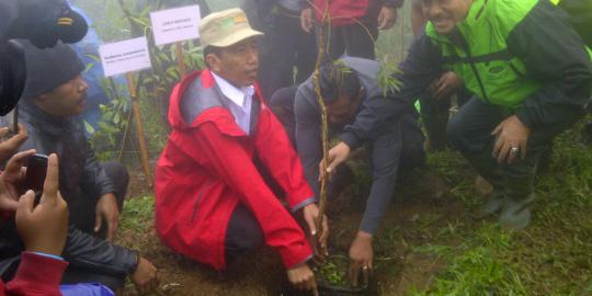 Bogor tanam 10.000 pohon untuk DKI