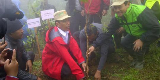 Pemprov DKI gelontorkan Rp 1,2 T bangun waduk di Megamendung