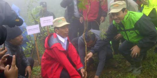Soal vila di Puncak, Bupati Bogor sindir Jokowi