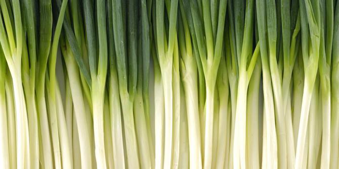 10 Manfaat mengonsumsi daun bawang untuk kesehatan tubuh