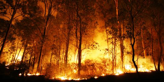 Banyak wilayah di Jawa kebanjiran, hutan di Riau malah terbakar