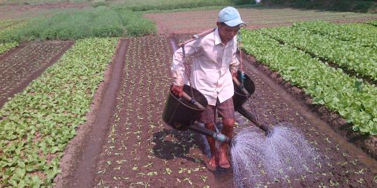 Pemerintah tak dukung rakyat masuk sektor pertanian